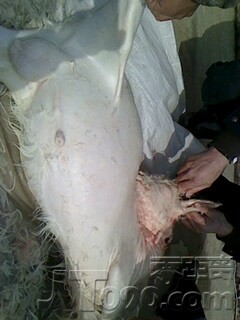 IMG1216121900.jpg