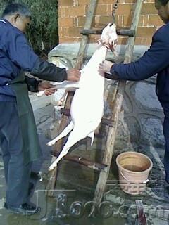 IMG1216123800.jpg