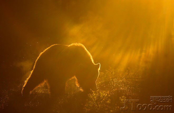 41c9_4e5b_featured_67_01.jpg
