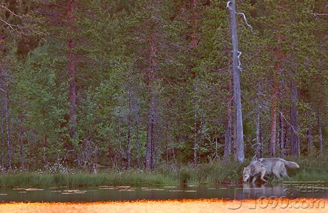 58df_01b1_featured_62_01.jpg