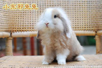 faacb5642d68cab8f73654d4.jpg