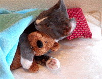 6927f719jw6ddfhg73vq1g.gif