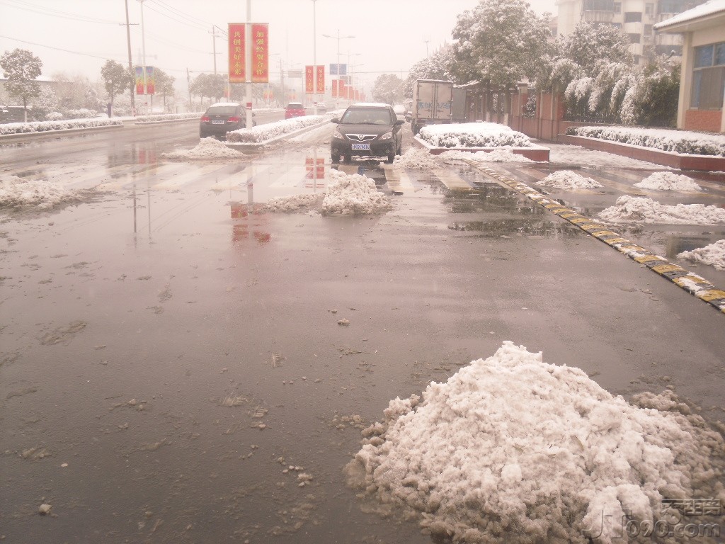 SDC12916.JPG