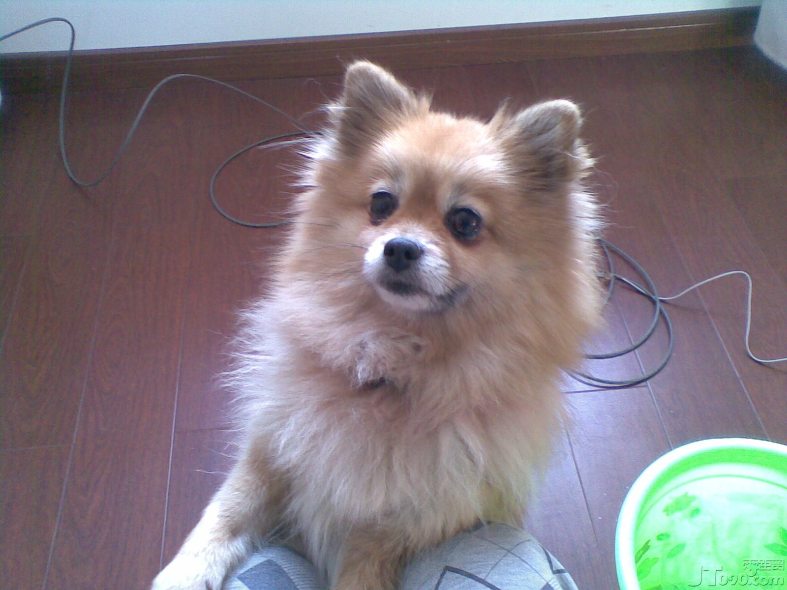 20110124_011.jpg