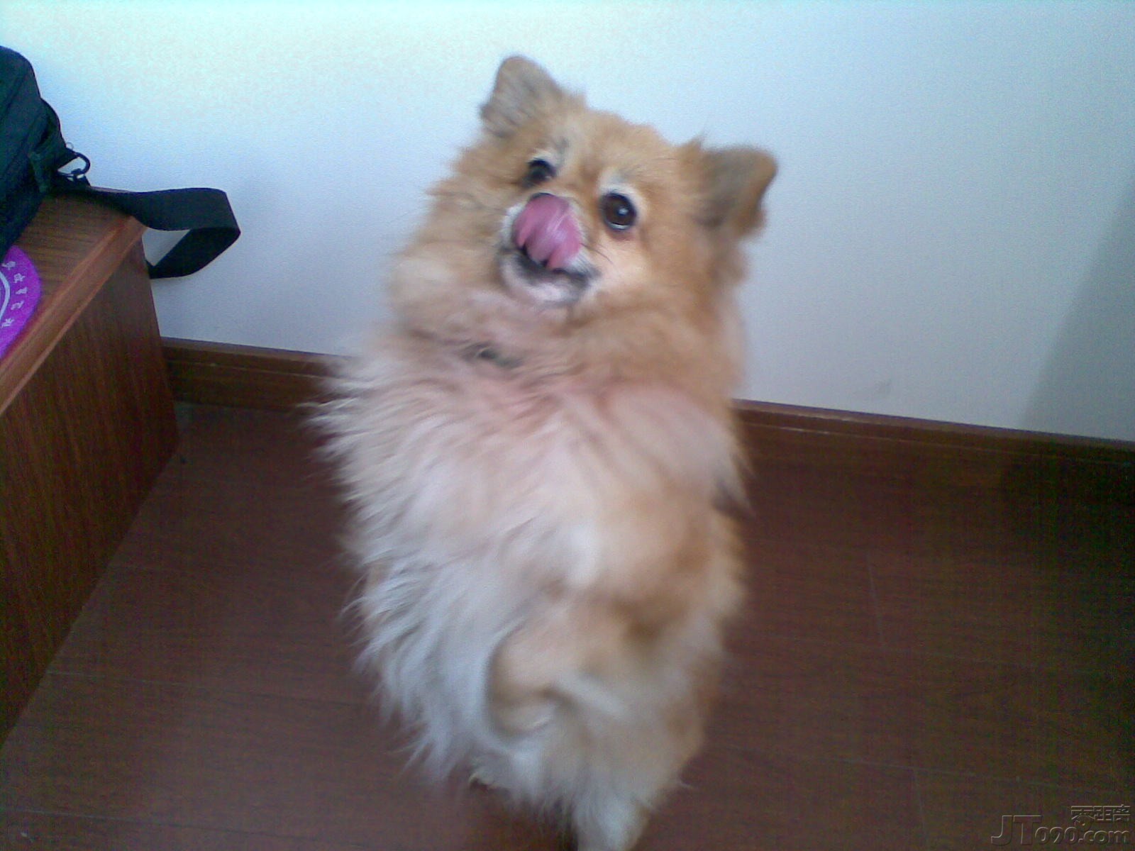 20110124_002.jpg