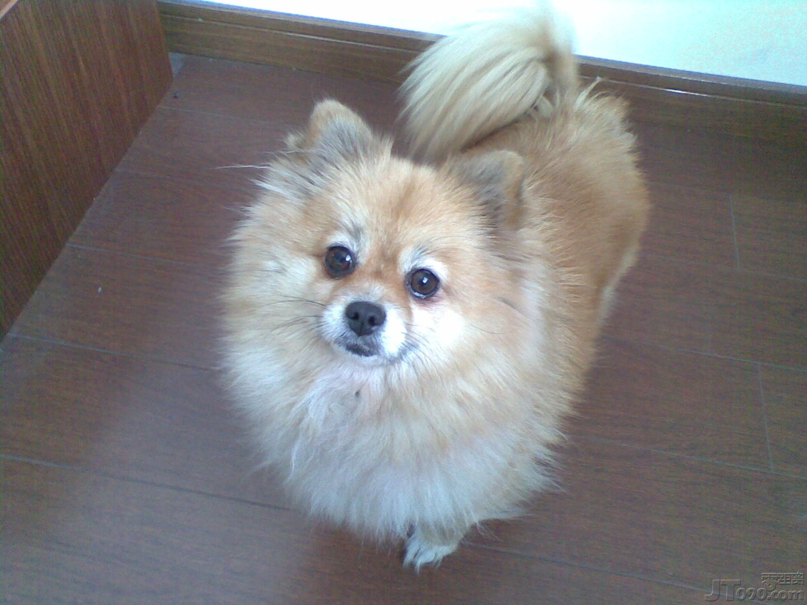 20110124_003.jpg