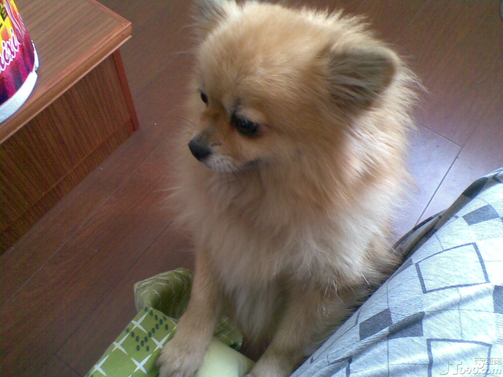 20110124_009.jpg