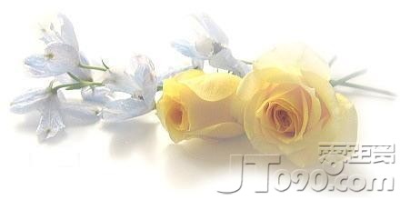 e35d2ccf8faef3aca61c4bf9f114be99.jpg