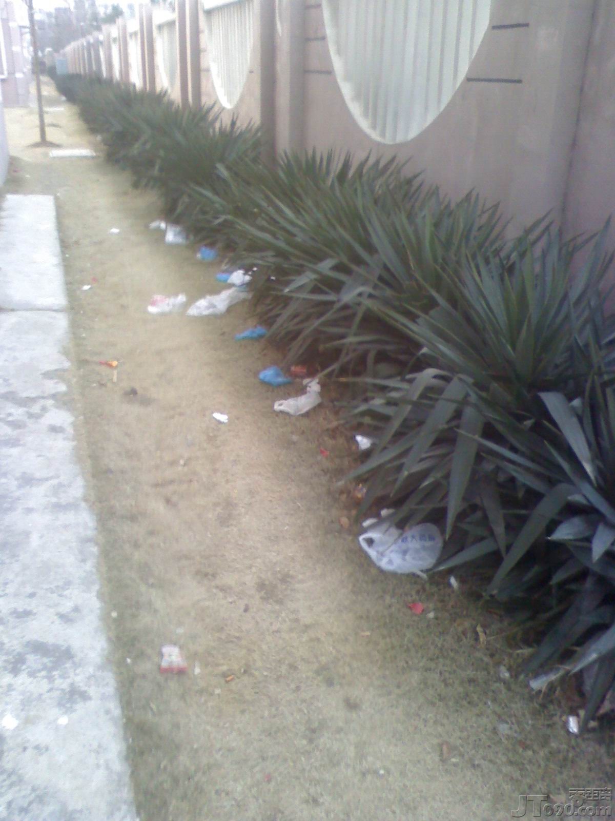IMG0215070100.jpg