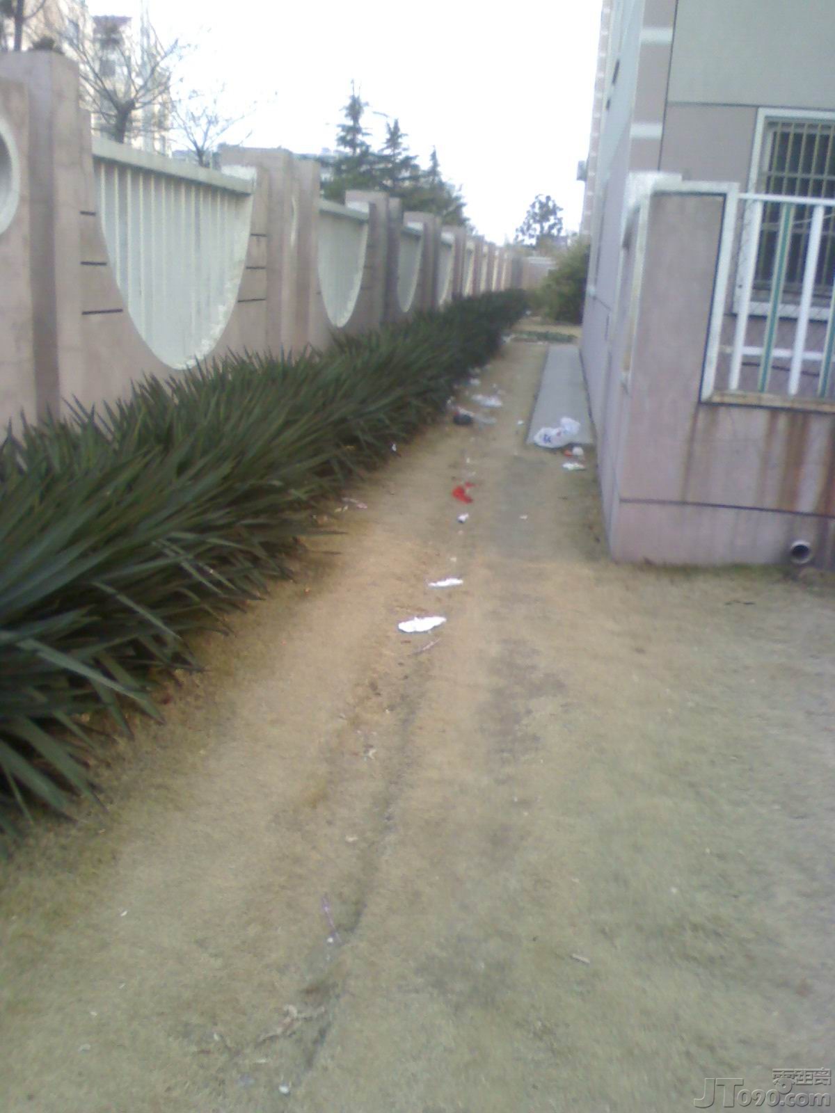 IMG0215070101.jpg