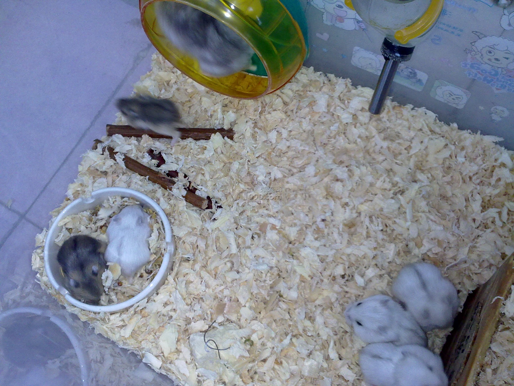 20110403098.jpg