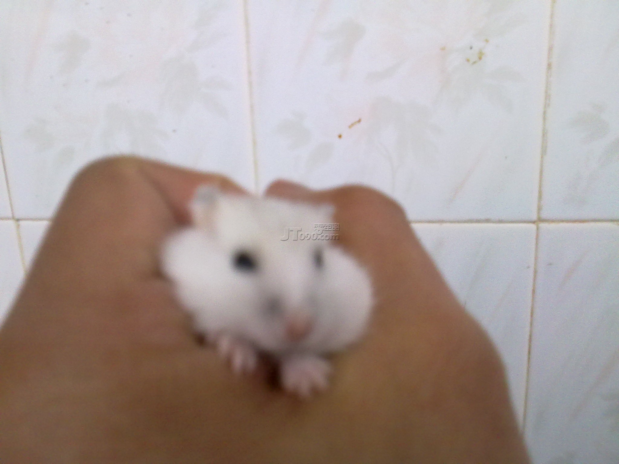20110403097.jpg
