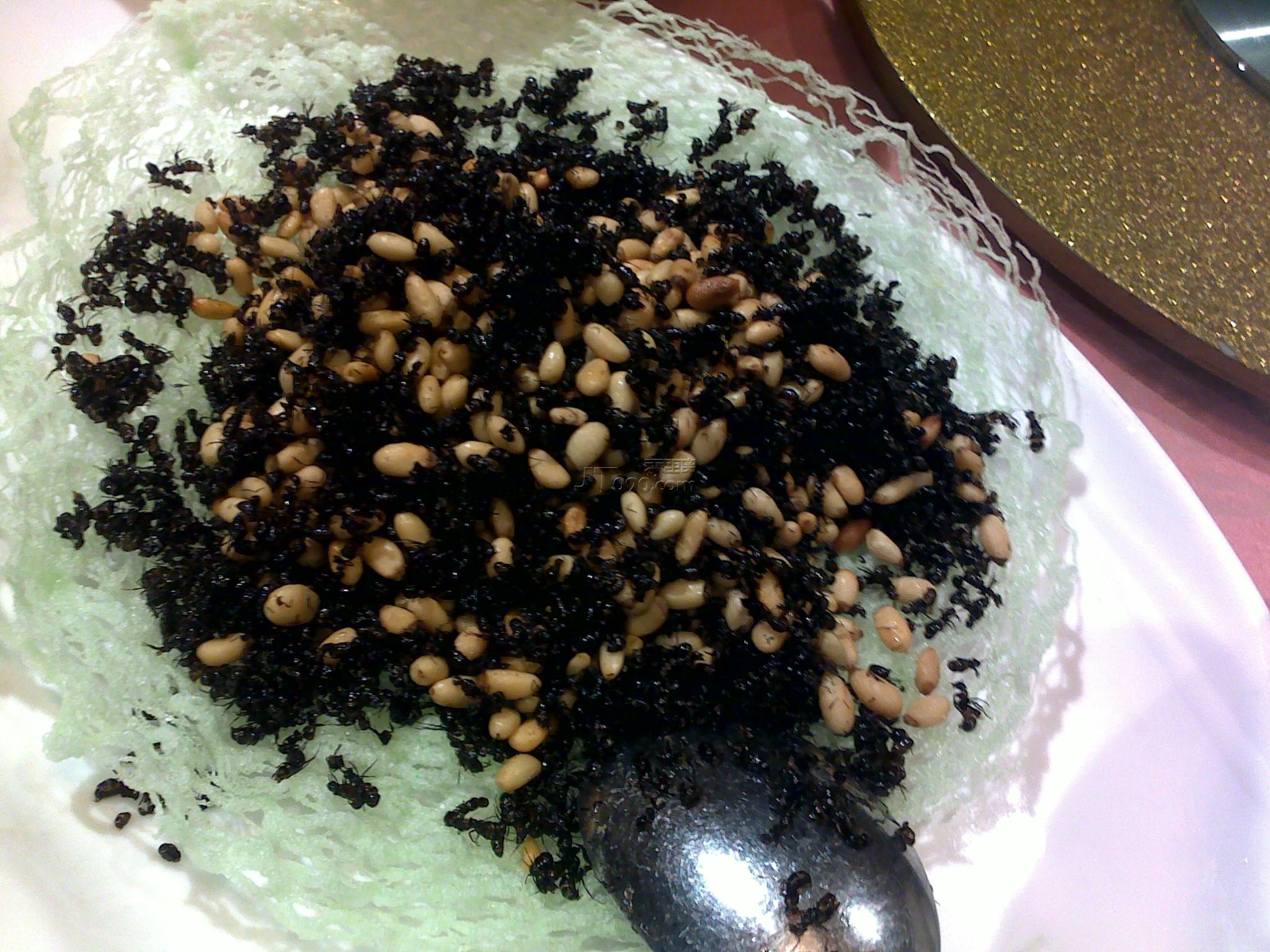 20110404220.jpg