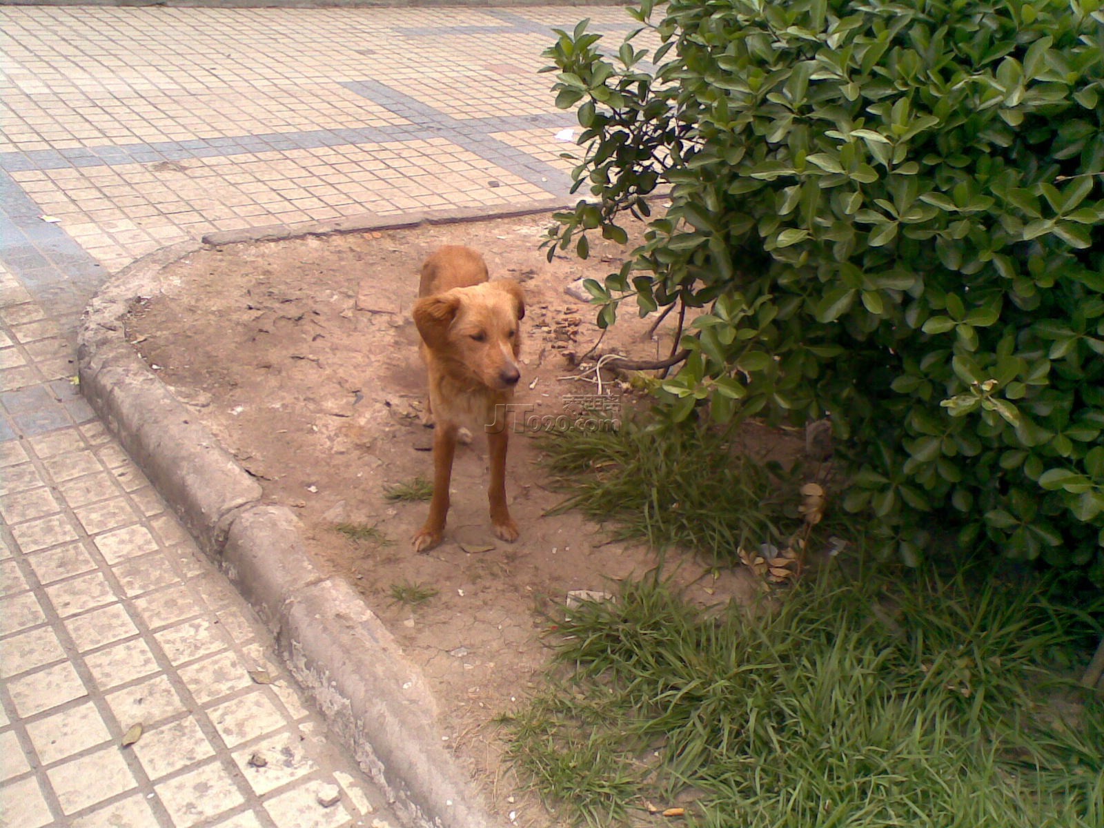 20110414676.jpg