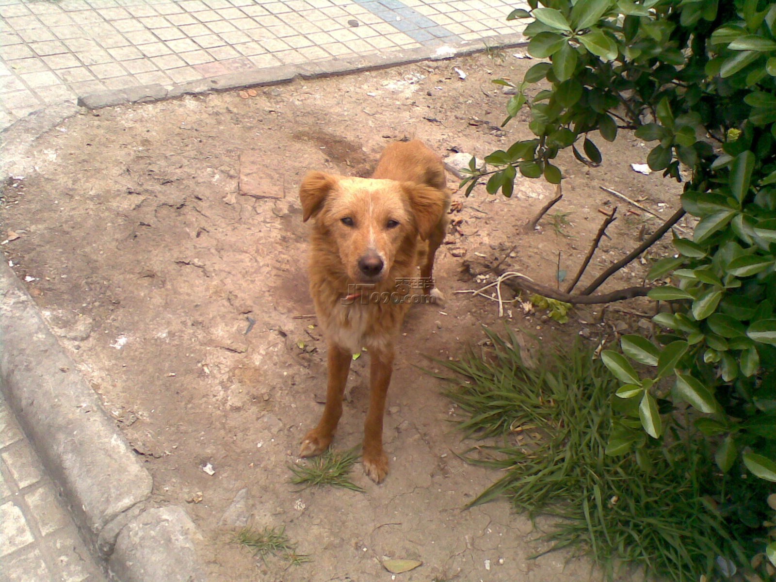 20110414677.jpg