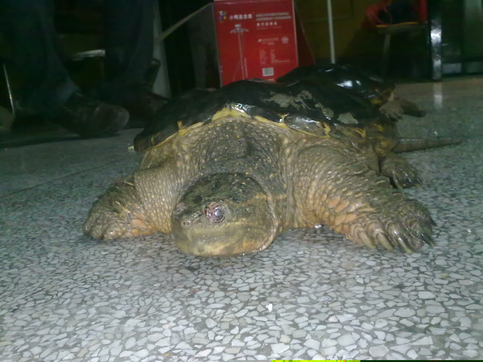 20110414124.jpg