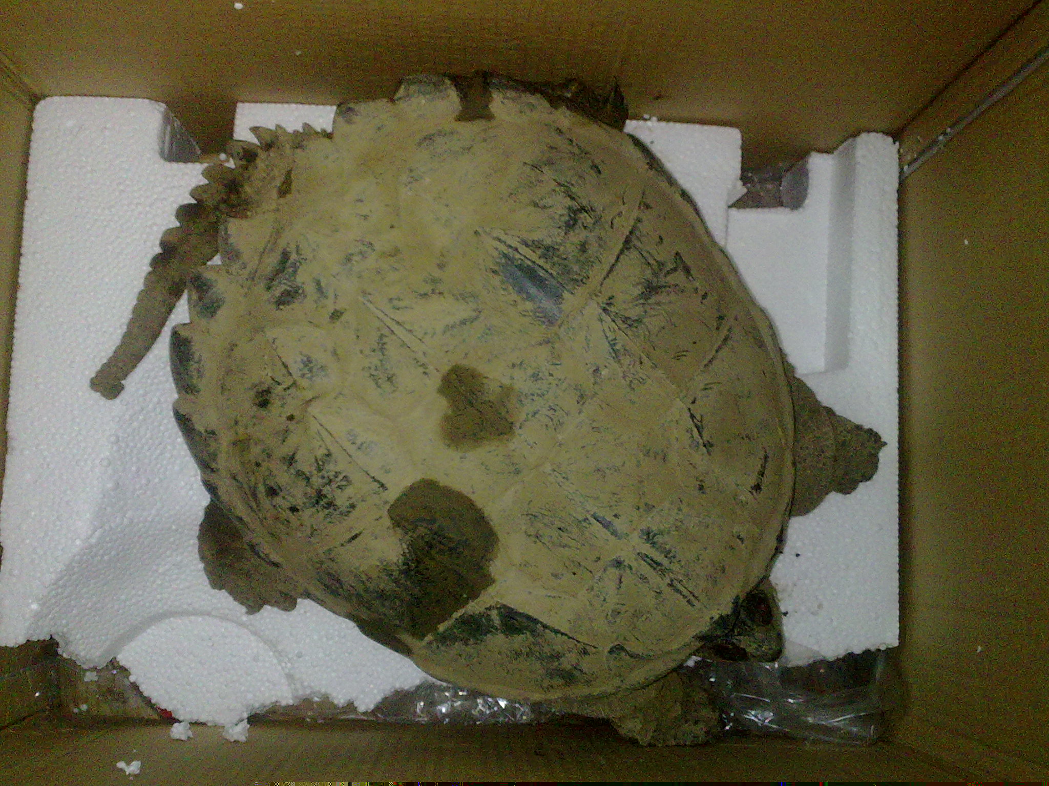 20110414112.jpg