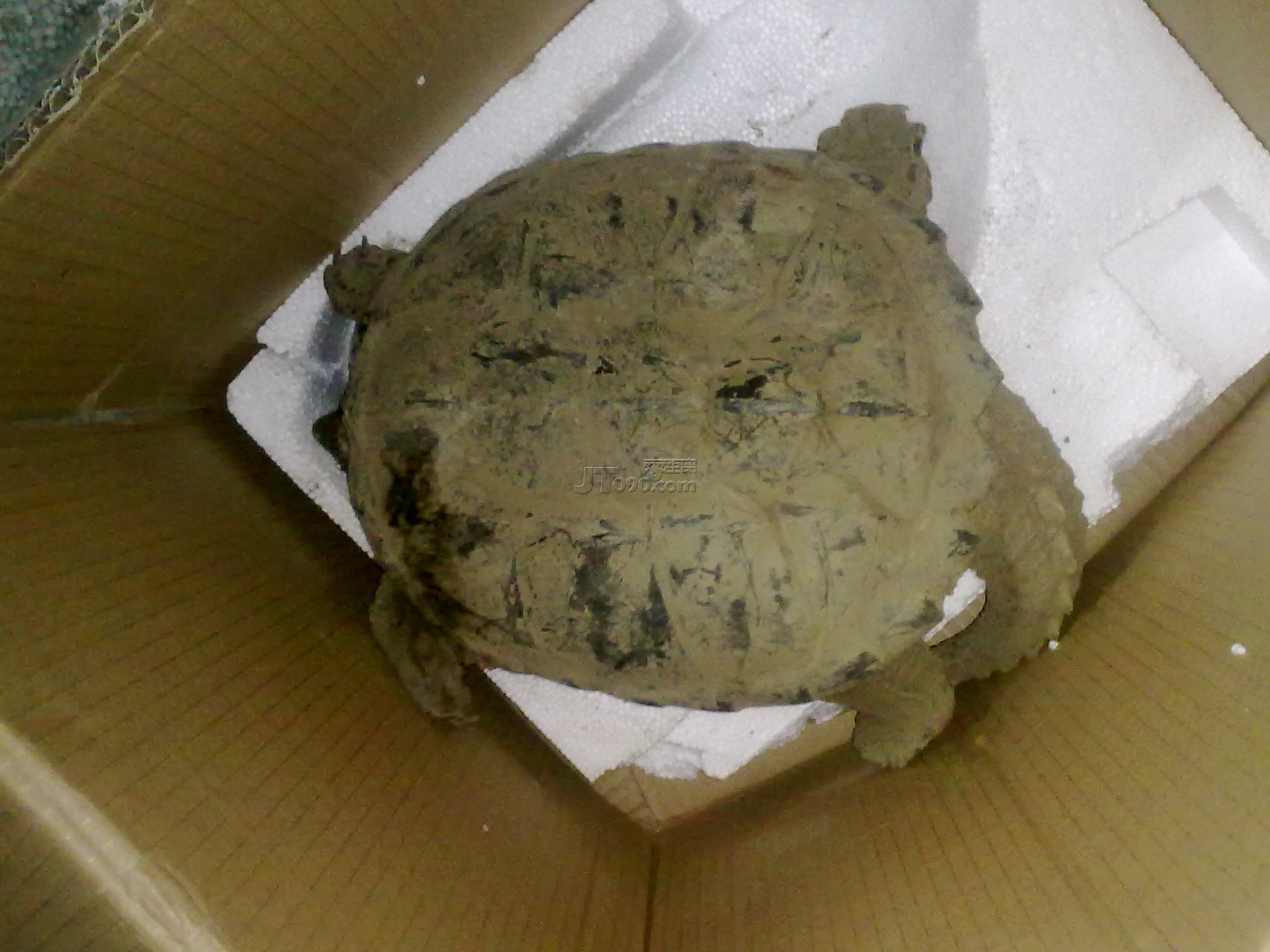 20110414113.jpg