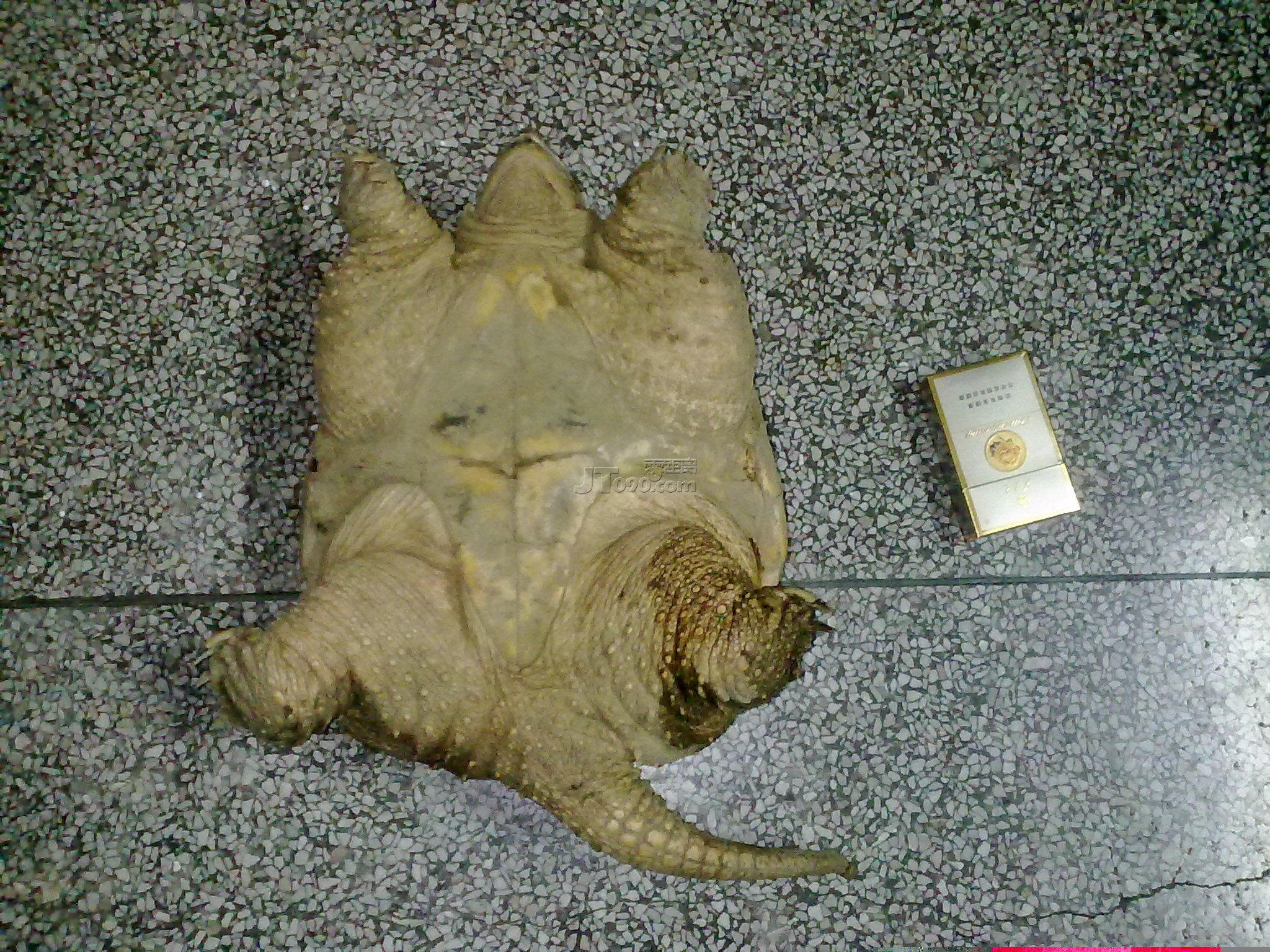 20110414114.jpg