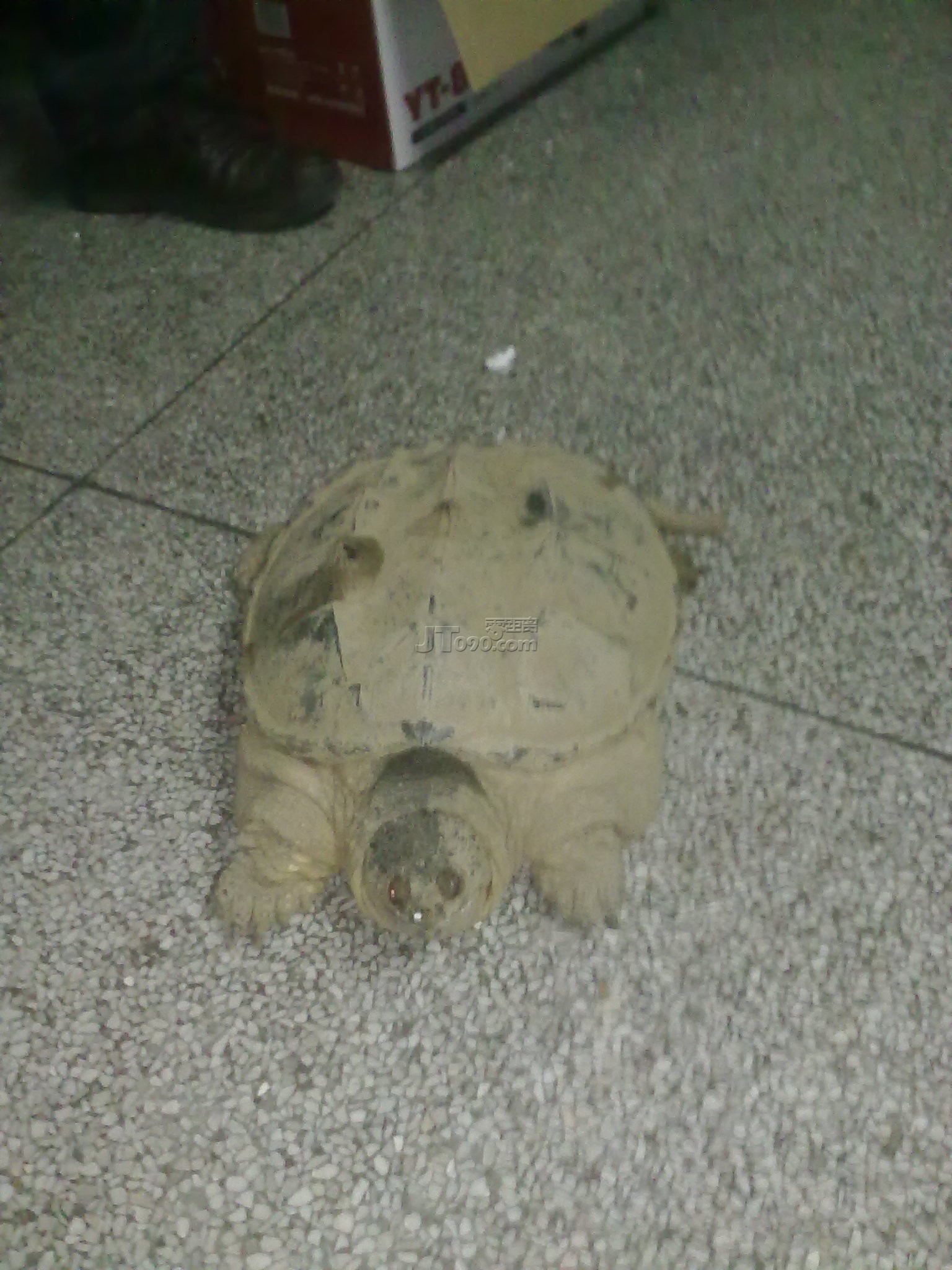 20110414115.jpg