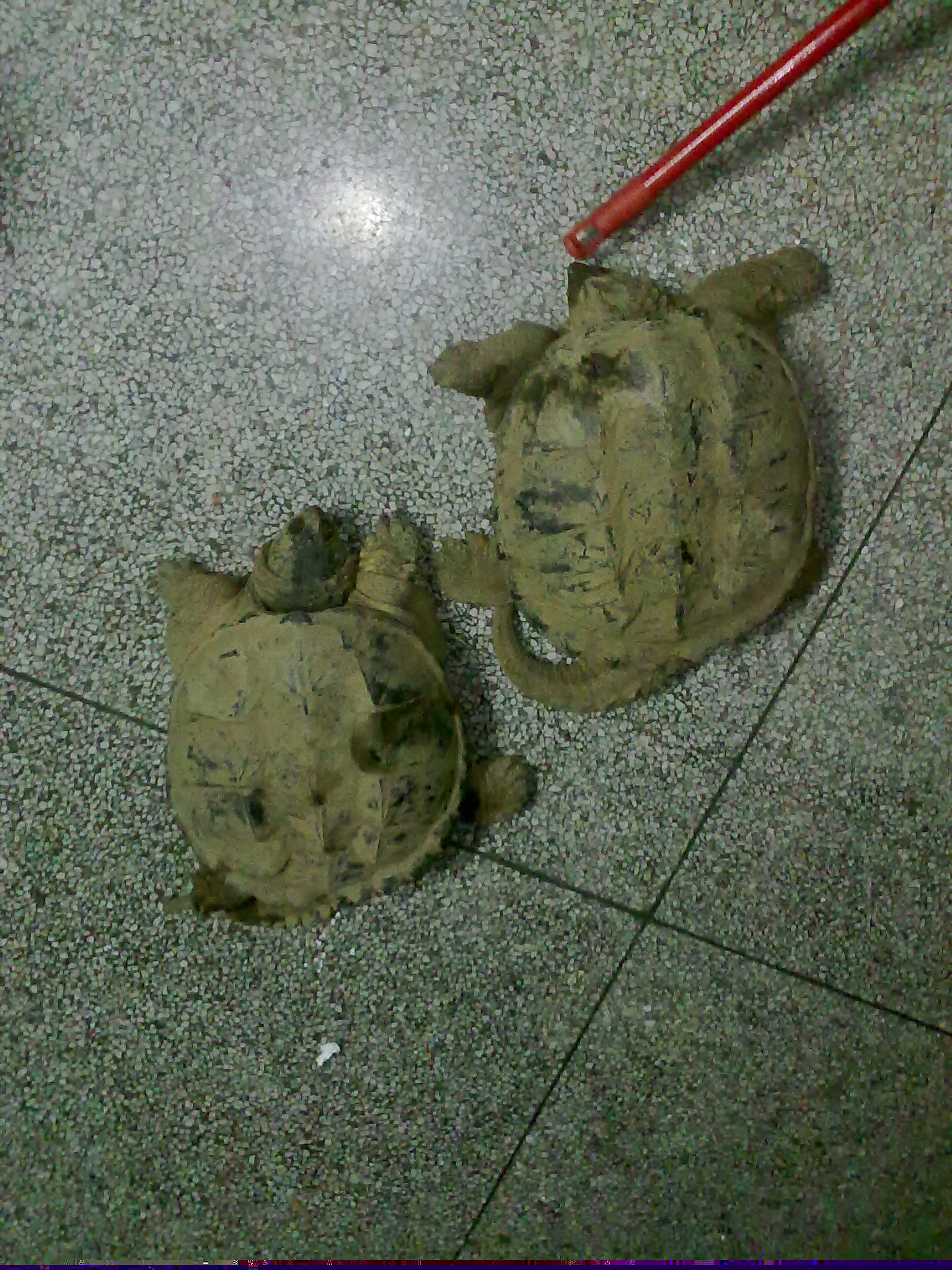 20110414118.jpg