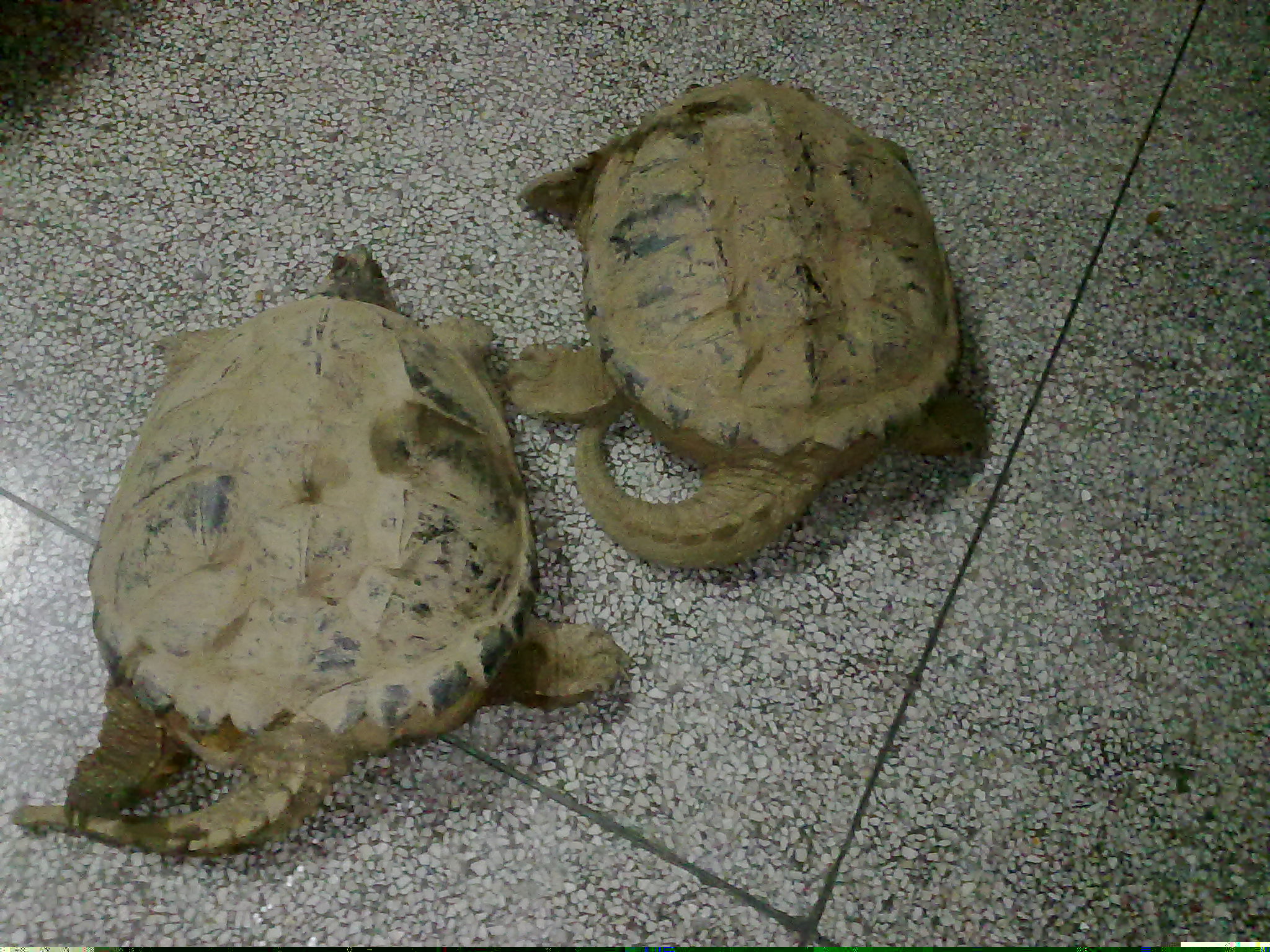 20110414119.jpg