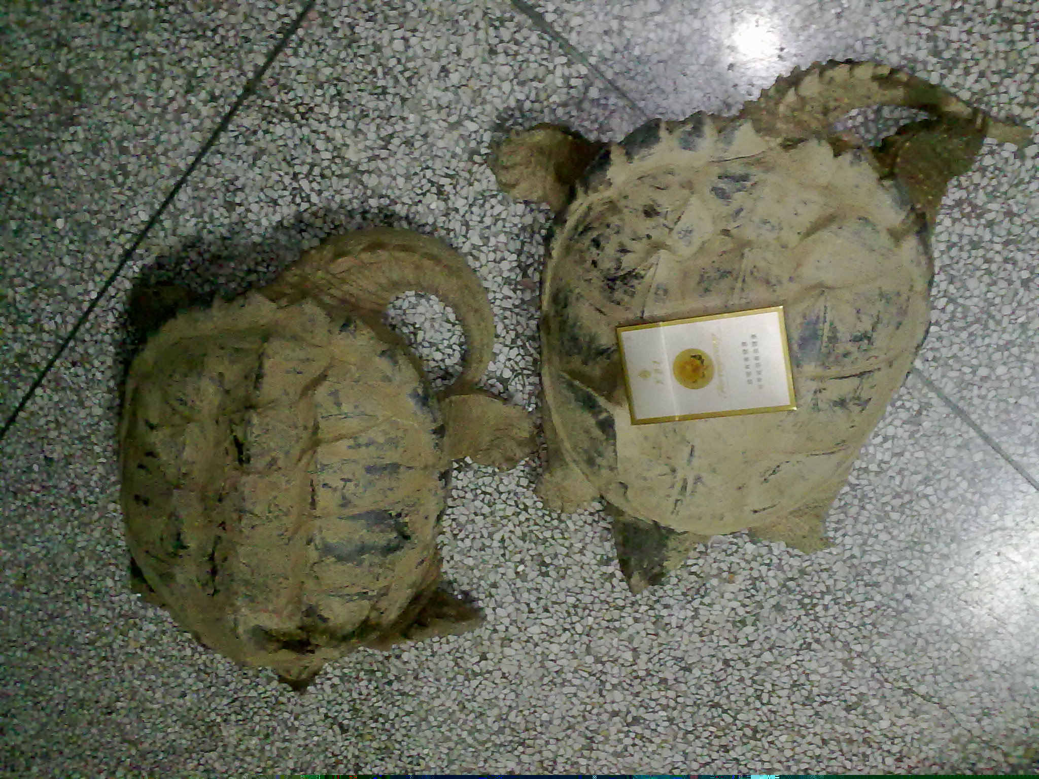 20110414120.jpg