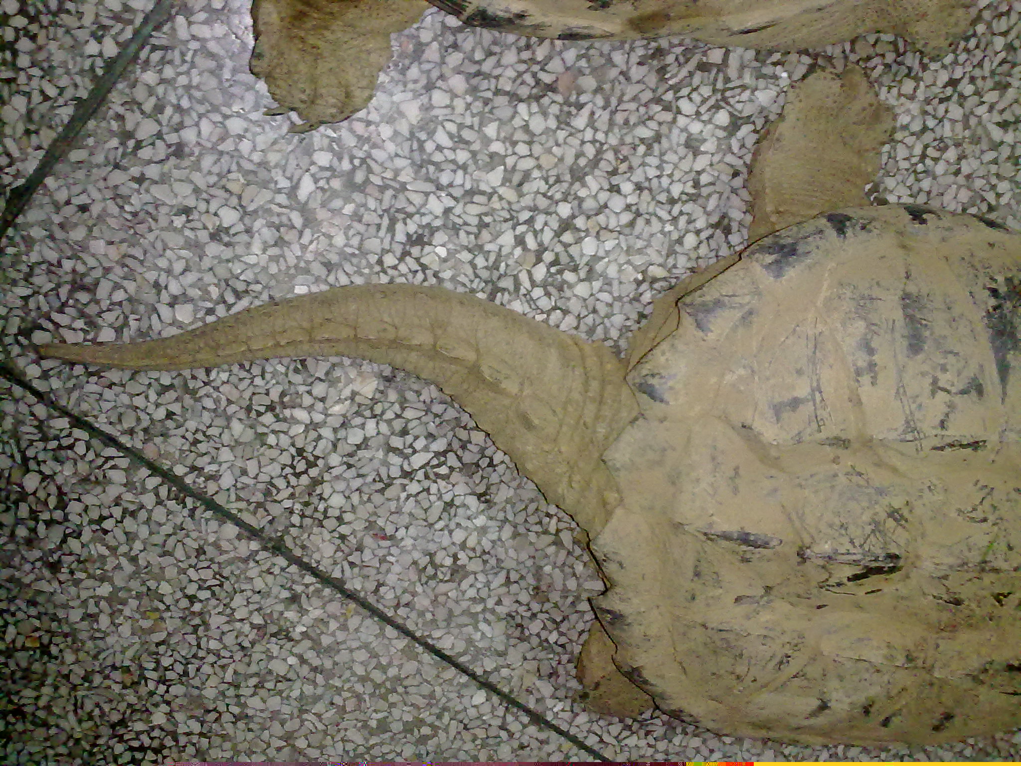 20110414121.jpg