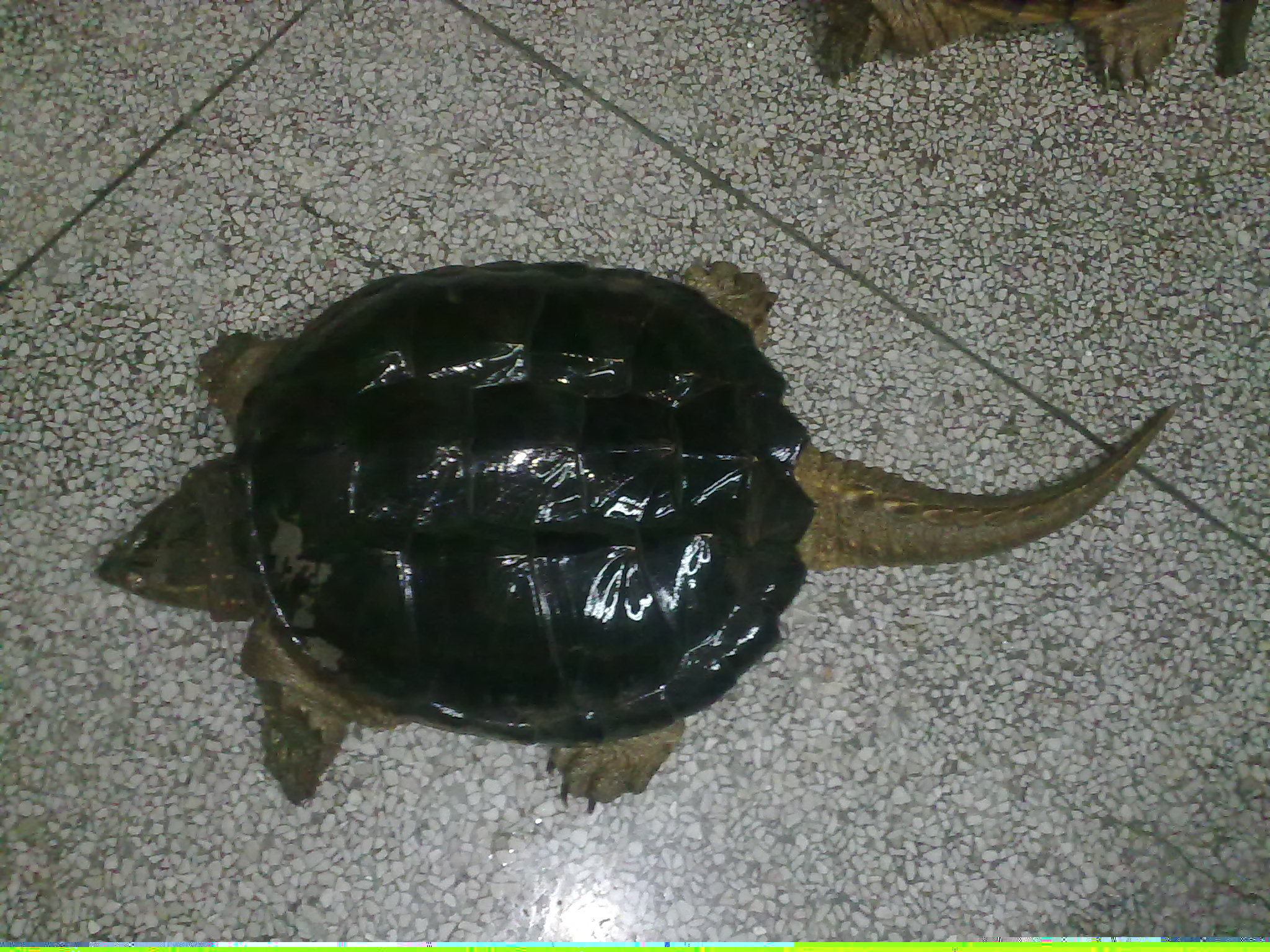20110414122.jpg