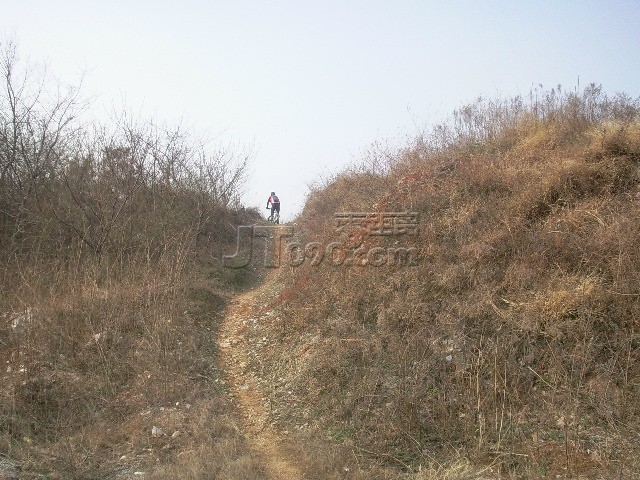 30.jpg