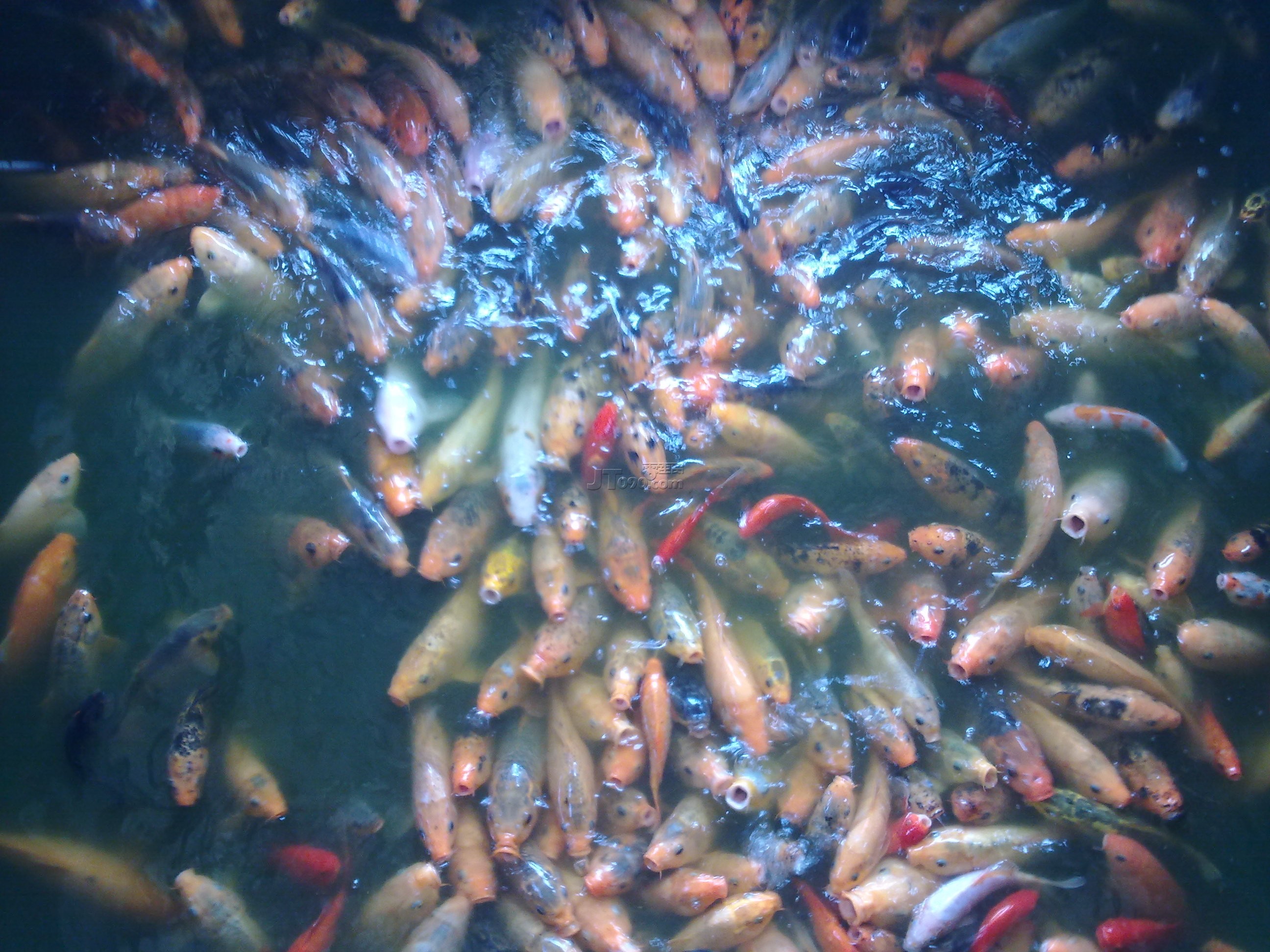 20110420276.jpg