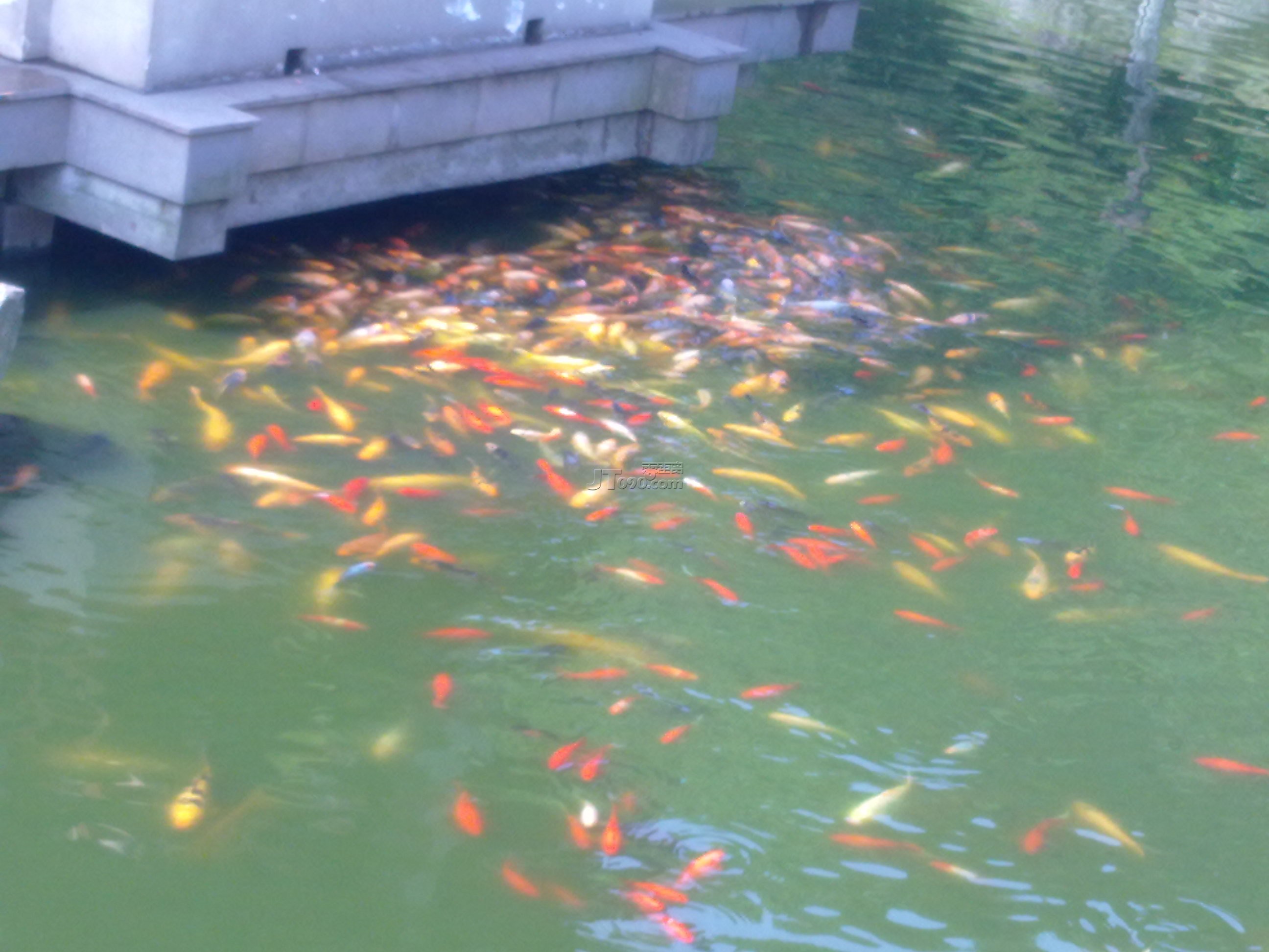 20110420272.jpg