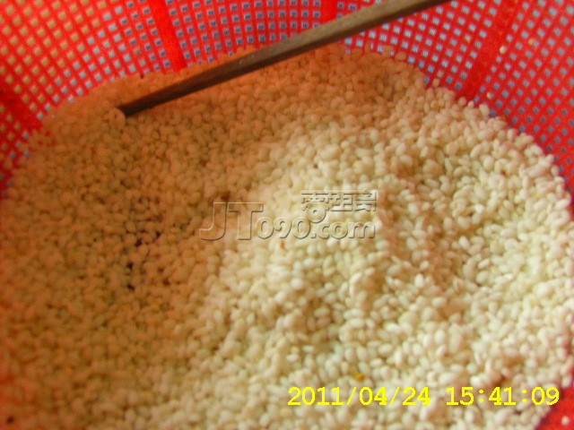 SA502668.JPG