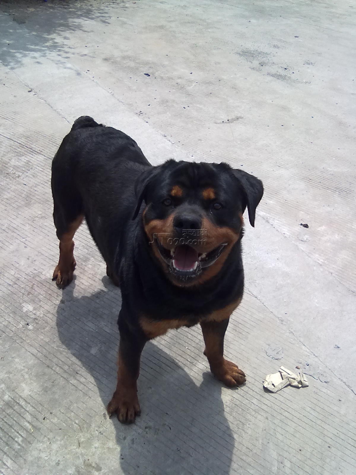 20110425393.jpg