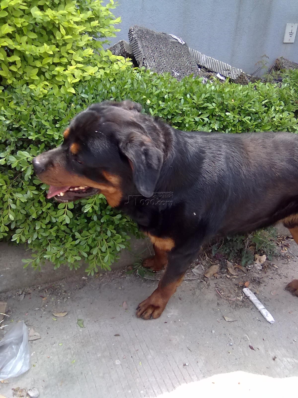 20110425396.jpg