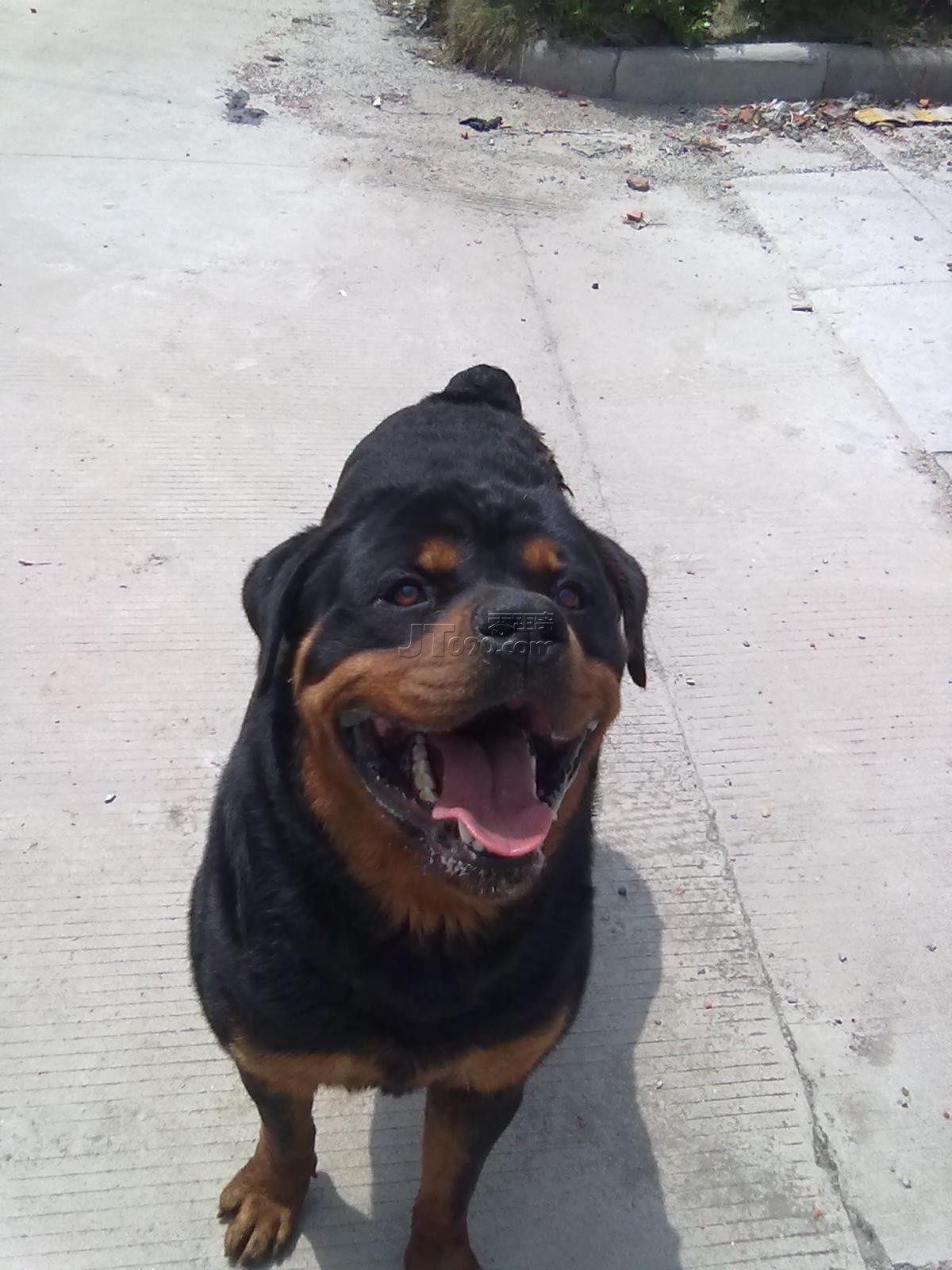 20110425400.jpg