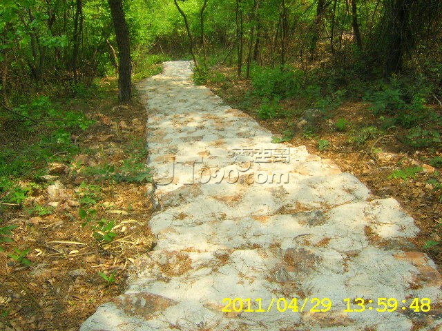 SA502773.JPG