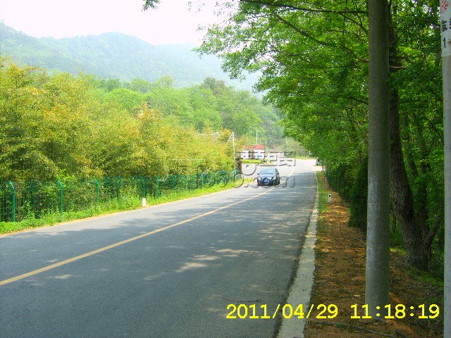 SA502695.JPG