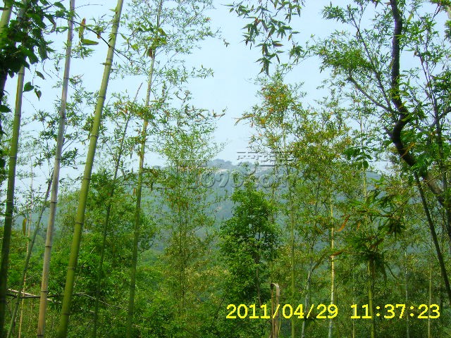 SA502700.JPG