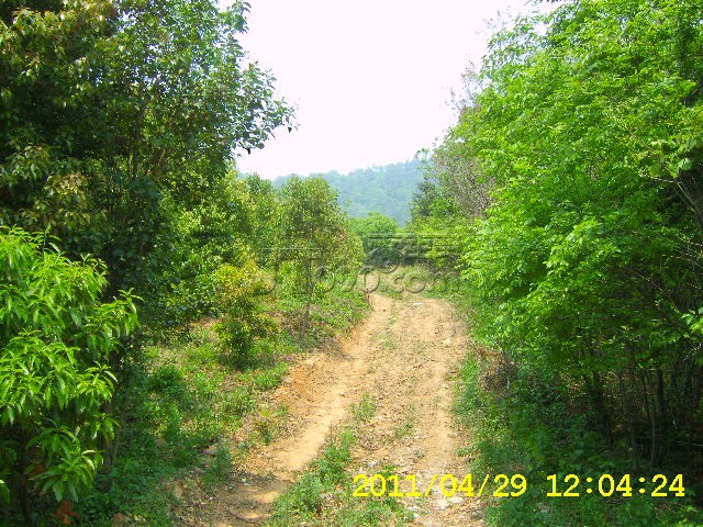 SA502707.JPG