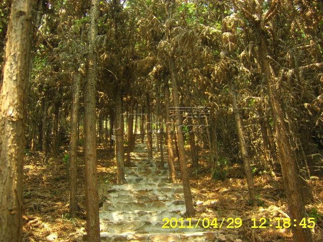 SA502716.JPG