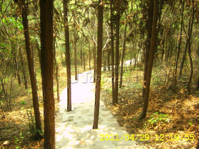 SA502717.JPG