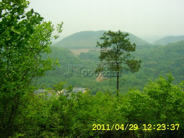 SA502719.JPG