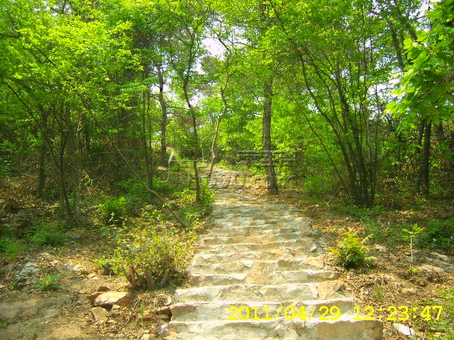 SA502720.JPG