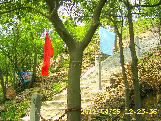 SA502723.JPG