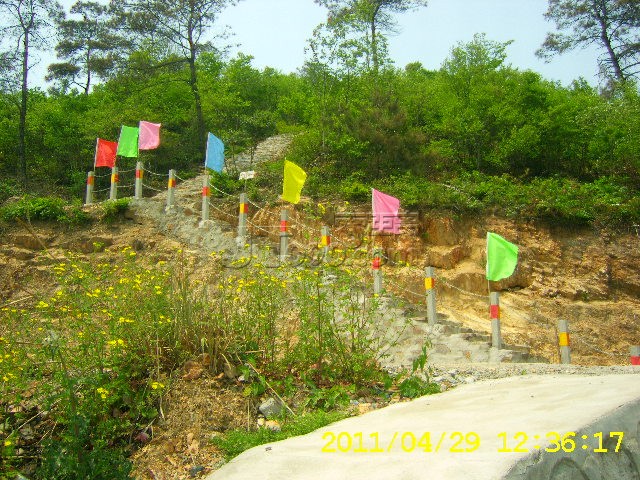SA502730.JPG