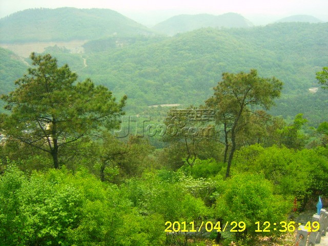 SA502731.JPG