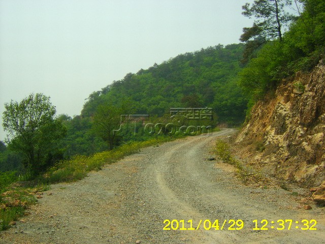 SA502733.JPG