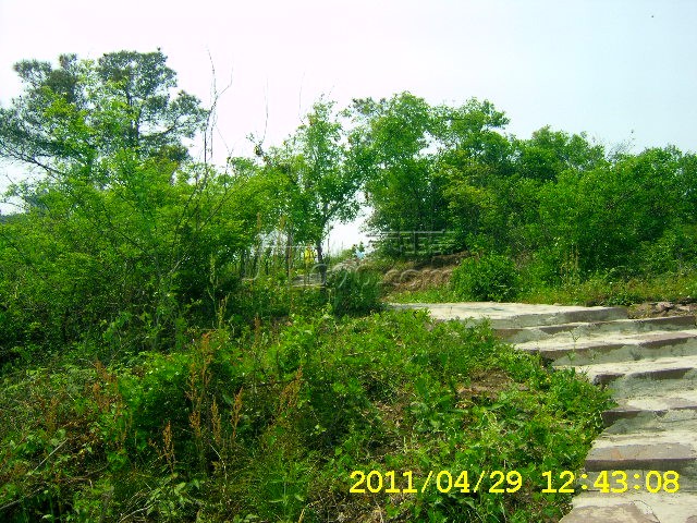 SA502735.JPG