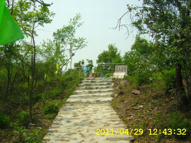 SA502736.JPG